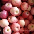 Nouvelle emballage de carton de récolte Fresh FUJI Apple